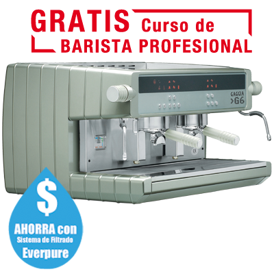 Cafetera Industrial Gaggia G6
