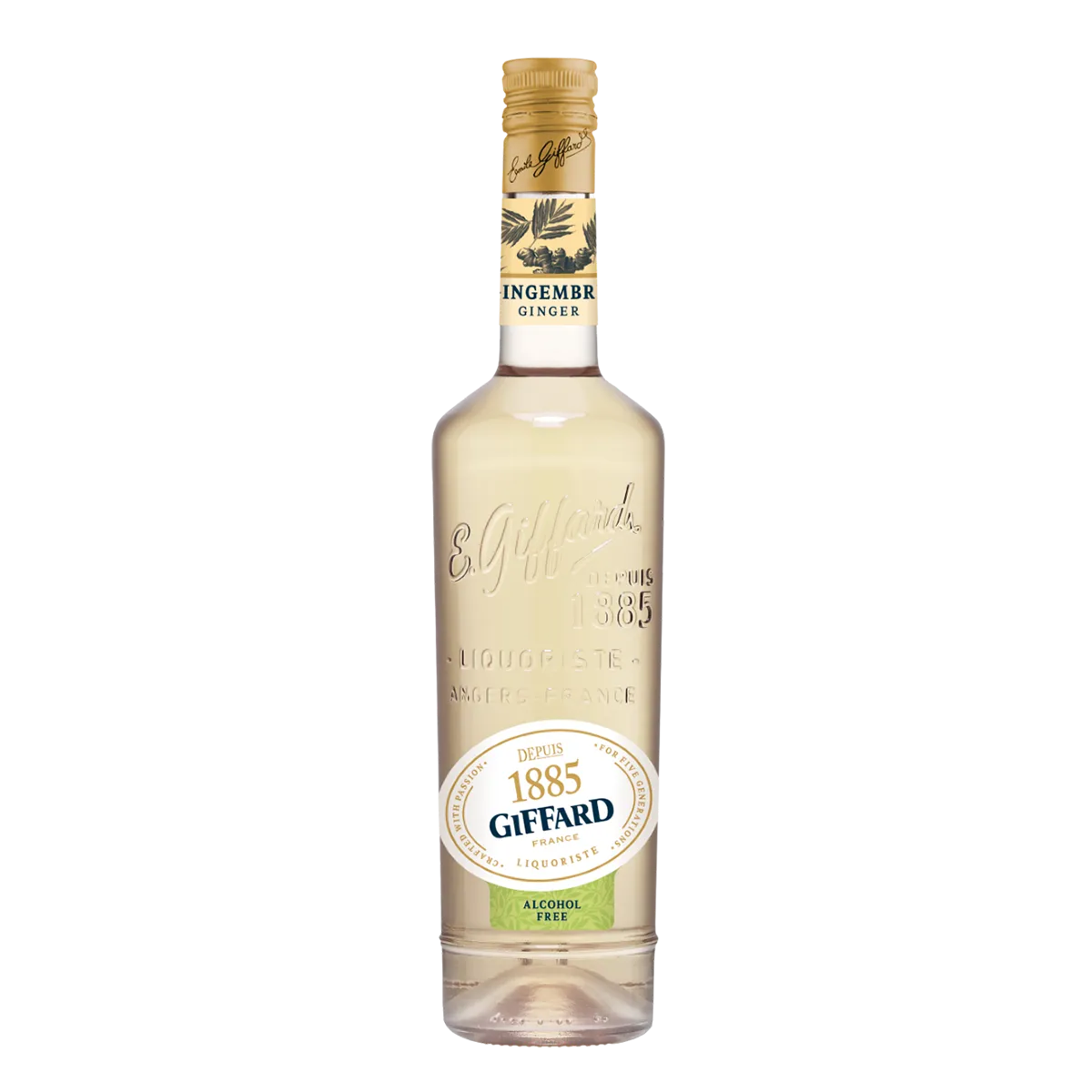 Jarabe Giffard Sin Alcohol Sabor Ginger (Jengibre) – Botella de 700 ml