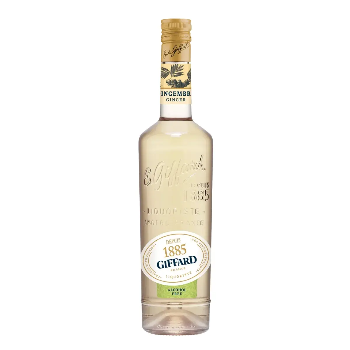 Jarabe Giffard Sin Alcohol Sabor Ginger (Jengibre) – Botella de 700 ml