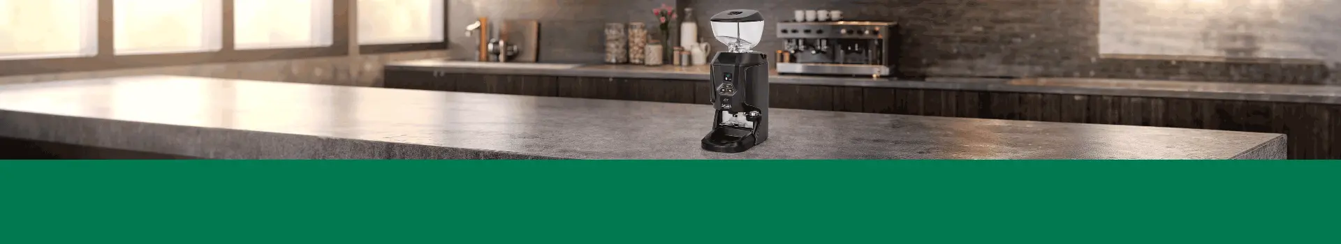Molino de Café Gaggia PG5 PG5110N | Molino Profesional Espresso